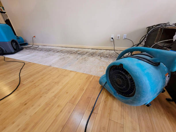 Reliable Basement Flood Cleanup contractor in Milton, WV by Hirex Water Damage