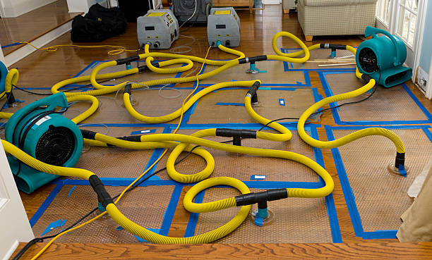 Professional Basement Flood Cleanup technician working in Milton, WV